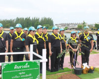 จังหวัดสุราษฎร์ธานีจัดกิจกรรมจิตอาสาพัฒนาและบริการประชาชน เน ... พารามิเตอร์รูปภาพ 61
