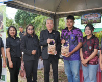 รองผู้ว่าราชการจังหวัดสุราษฎร์ธานี เป็นประธานเปิดกิจกรรม “Gr ... พารามิเตอร์รูปภาพ 6