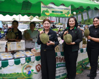 รองผู้ว่าราชการจังหวัดสุราษฎร์ธานี เป็นประธานในพิธีเปิด กิจก ... พารามิเตอร์รูปภาพ 5