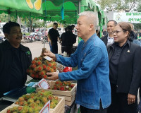 รองผู้ว่าราชการจังหวัดสุราษฎร์ธานี เป็นประธานในพิธีเปิด กิจก ... พารามิเตอร์รูปภาพ 7