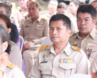 ผู้ว่าฯ สุราษฎร์ธานี นำข้าราชการและประชาชนร่วมพิธีถวายพระพรช ... พารามิเตอร์รูปภาพ 11