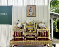 ผู้ว่าฯ สุราษฎร์ธานี นำทีมหน่วยแพทย์เคลื่อนที่ พอ.สว. ลงพื้น ... พารามิเตอร์รูปภาพ 39