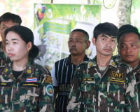 จังหวัดสุราษฎร์ธานีบูรณาการทุกภาคส่วนออกหน่วย “บำบัดทุกข์ บำ ... พารามิเตอร์รูปภาพ 19