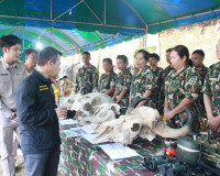 จังหวัดสุราษฎร์ธานีบูรณาการทุกภาคส่วนออกหน่วย “บำบัดทุกข์ บำ ... พารามิเตอร์รูปภาพ 22