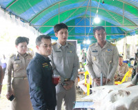 จังหวัดสุราษฎร์ธานีบูรณาการทุกภาคส่วนออกหน่วย “บำบัดทุกข์ บำ ... พารามิเตอร์รูปภาพ 61
