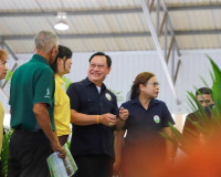 รองผู้ว่าราชการจังหวัดสุราษฎร์ธานี เป็นประธานในพิธีเปิดงานโค ... พารามิเตอร์รูปภาพ 15