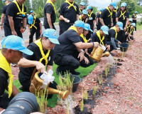 ผู้ว่าฯ สุราษฎร์ธานี นำจิตอาสาพระราชทาน ทำกิจกรรมจิตอาสาพัฒน ... พารามิเตอร์รูปภาพ 47