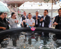 สุราษฎร์ธานีจัดใหญ่ “Taste of Surat เทศกาลกินกุ้งสุราษฎร์” ก ... พารามิเตอร์รูปภาพ 31