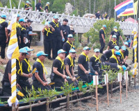 ผู้ว่าฯ สุราษฎร์ธานี นำจิตอาสาพระราชทานทำกิจกรรมจิตอาสาพัฒนา ... พารามิเตอร์รูปภาพ 3