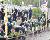 ผู้ว่าฯ สุราษฎร์ธานี นำจิตอาสาพระราชทานทำกิจกรรมจิตอาสาพัฒนา ... พารามิเตอร์รูปภาพ 32