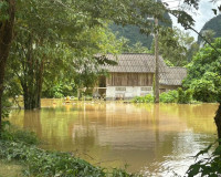 ผู้ว่าฯ สุราษฎร์ธานี ลงพื้นที่ตำบลคลองศก อำเภอพนม ติดตามสถาน ... พารามิเตอร์รูปภาพ 1
