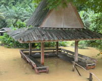 ผู้ว่าฯ สุราษฎร์ธานี ลงพื้นที่ตำบลคลองศก อำเภอพนม ติดตามสถาน ... พารามิเตอร์รูปภาพ 28