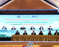 ผู้ว่าฯ สุราษฎร์ธานี เปิดโครงการ “ปาล์มคูณสอง” ผนึกกำลังรัฐ– ... พารามิเตอร์รูปภาพ 9