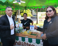 ผู้ว่าฯ สุราษฎร์ธานี เยี่ยมชมจุดจำหน่ายสินค้าโครงการ “ไทยช่ว ... พารามิเตอร์รูปภาพ 12