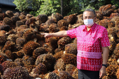 ผู้ว่าฯ สุราษฎร์ธานีตรวจเยี่ยมลานเทปาล์มน้ำมัน ภายหลังออกประ ... พารามิเตอร์รูปภาพ 1