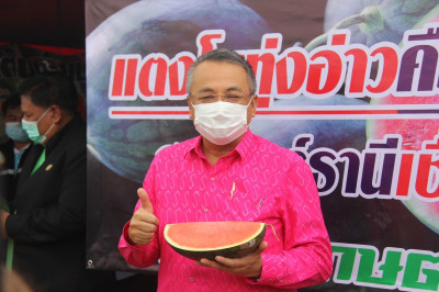 ผู้ว่าราชการจังหวัดสุราษฎร์ธานี ปล่อยคาราวานแตงโมทุ่งอ่าว กว ... พารามิเตอร์รูปภาพ 1